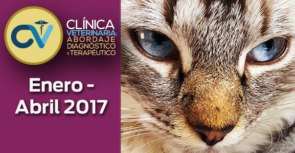 Imagen de la página inicial de la revista